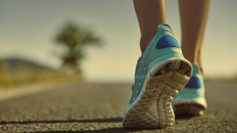 Plantillas Deportivas